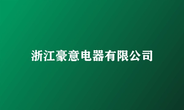 浙江豪意电器有限公司