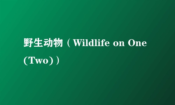 野生动物（Wildlife on One (Two)）