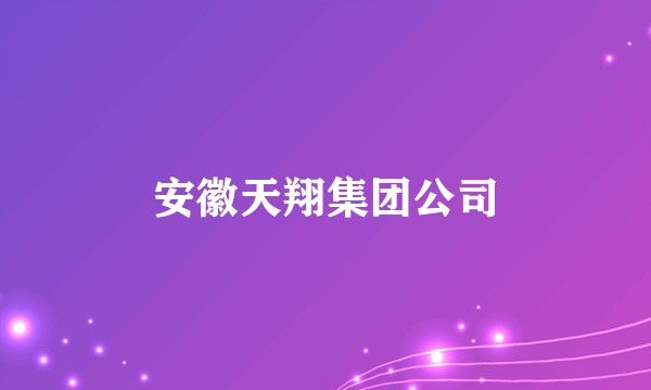 安徽天翔集团公司