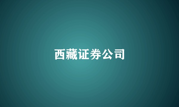 西藏证券公司
