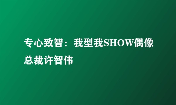 专心致智：我型我SHOW偶像总裁许智伟
