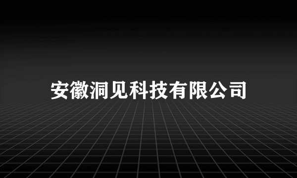 安徽洞见科技有限公司