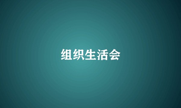 组织生活会