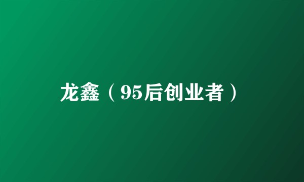 龙鑫（95后创业者）