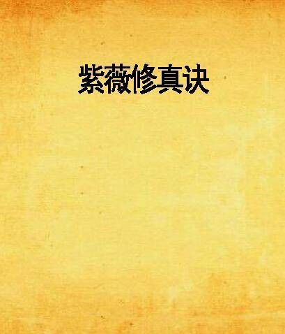 紫薇修真诀