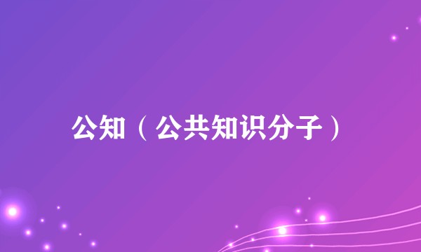 公知（公共知识分子）