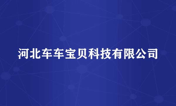 河北车车宝贝科技有限公司