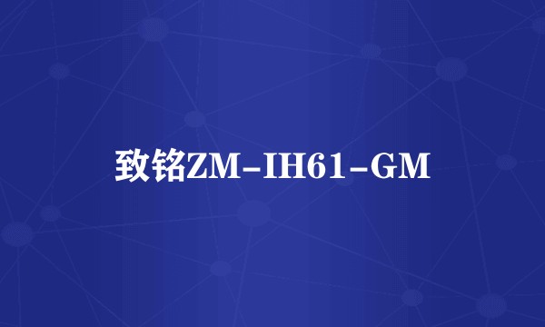 致铭ZM-IH61-GM