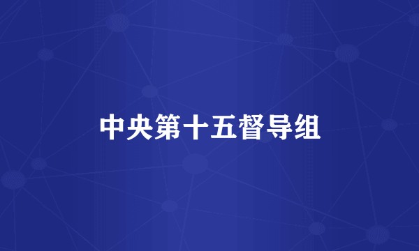 中央第十五督导组