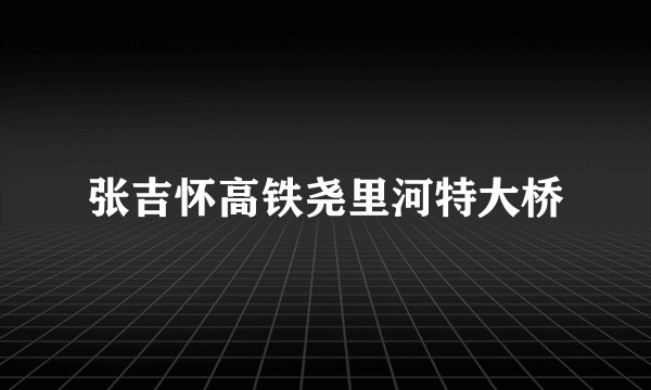 张吉怀高铁尧里河特大桥
