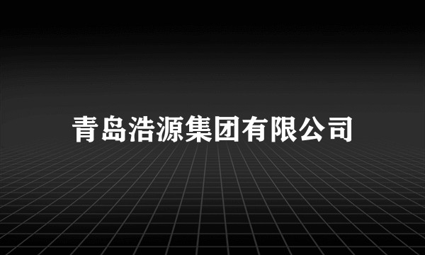 青岛浩源集团有限公司