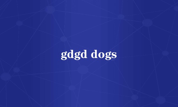gdgd dogs