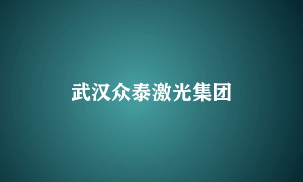 武汉众泰激光集团