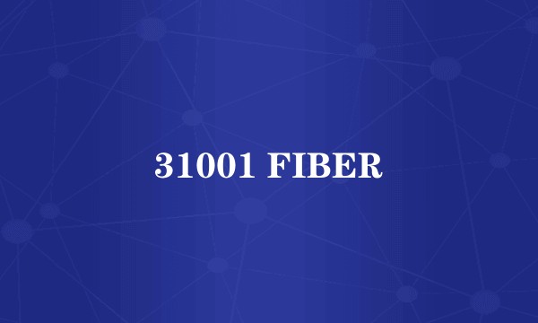 31001 FIBER