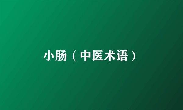 小肠（中医术语）
