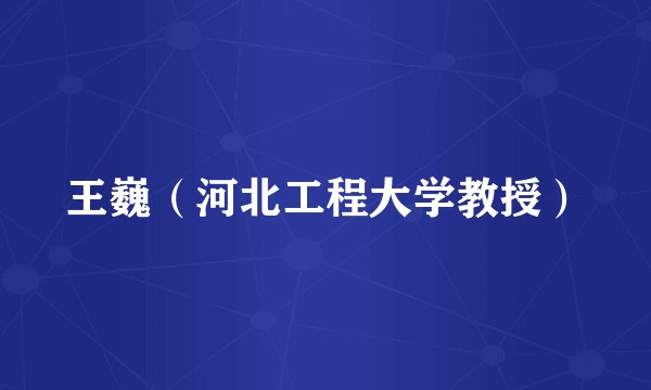 王巍（河北工程大学教授）