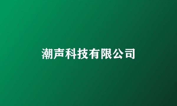 潮声科技有限公司