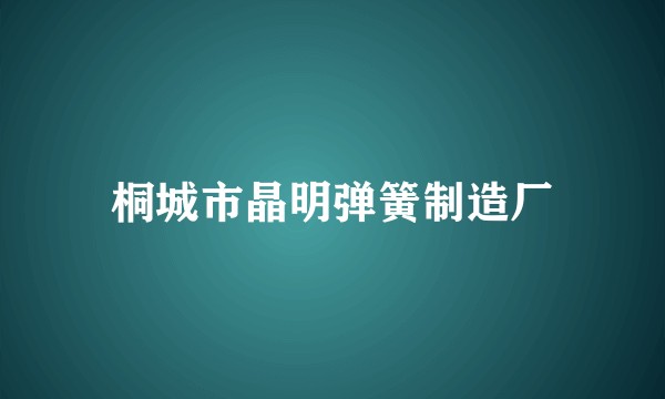 桐城市晶明弹簧制造厂