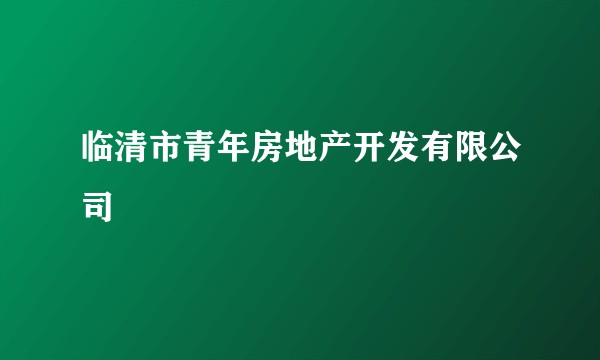 临清市青年房地产开发有限公司