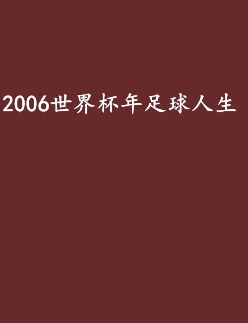 2006世界杯年足球人生