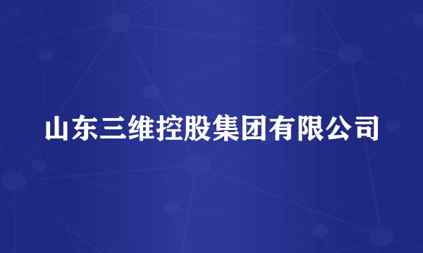 山东三维控股集团有限公司
