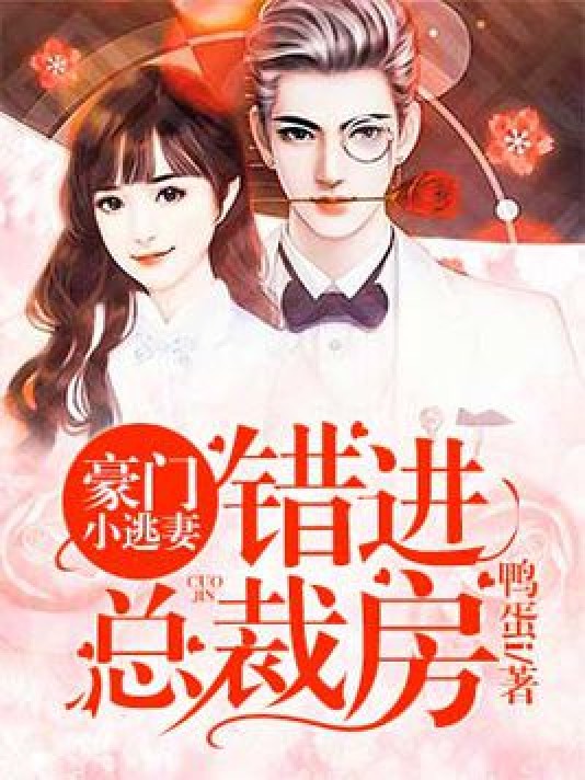 豪门小逃妻：错进总裁房