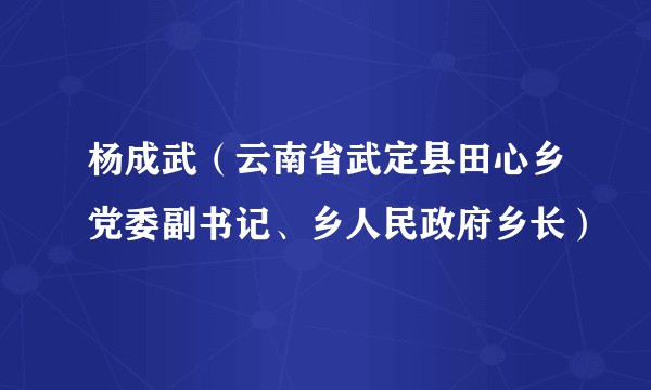 杨成武（云南省武定县田心乡党委副书记、乡人民政府乡长）