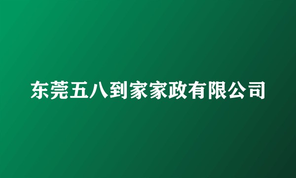 东莞五八到家家政有限公司