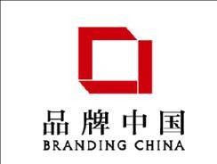 品牌中国集团有限公司