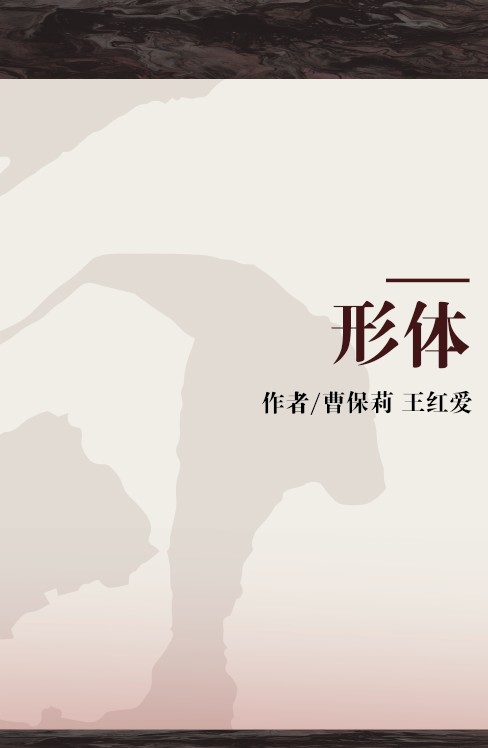 形体(2005年北京体育大学出版社出版的图书)