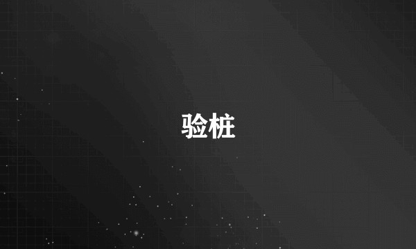 验桩