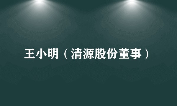 王小明(清源股份董事)