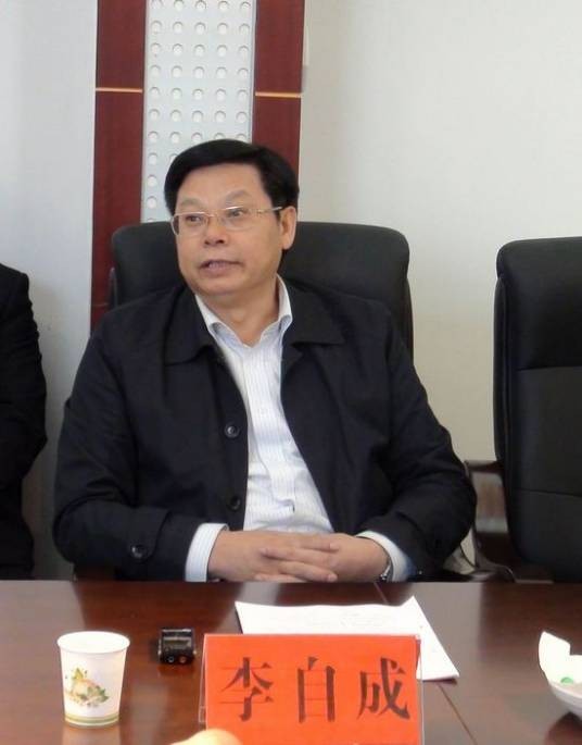 李自成(湖南省怀化市人民政府原副市长、党组成员)