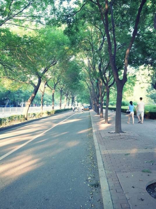 知春路(乌兰察布市知春路)