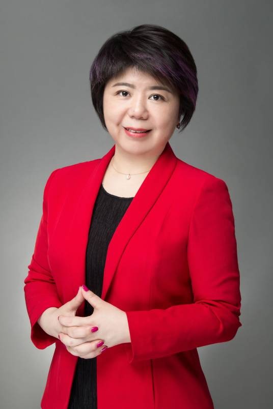 凌捷（上海迪瞻教育科技有限公司董事长）