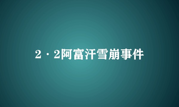 2·2阿富汗雪崩事件
