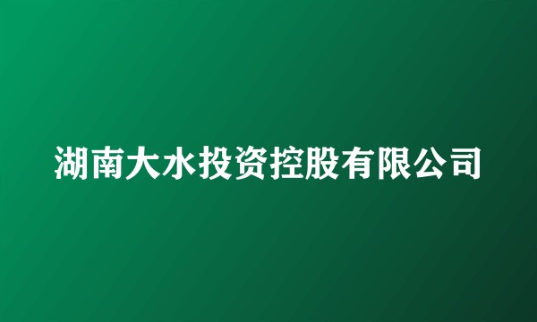 湖南大水投资控股有限公司
