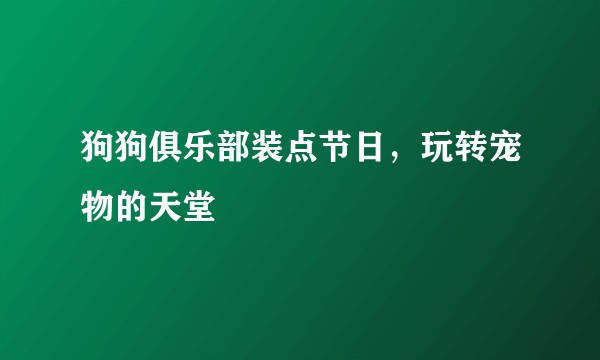 狗狗俱乐部装点节日，玩转宠物的天堂