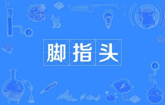 脚指头