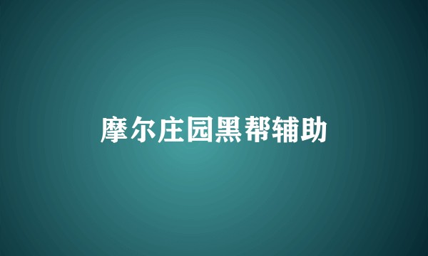 摩尔庄园黑帮辅助
