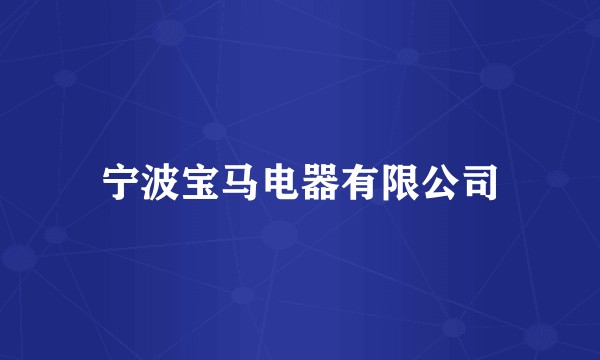 宁波宝马电器有限公司