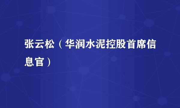 张云松（华润水泥控股首席信息官）
