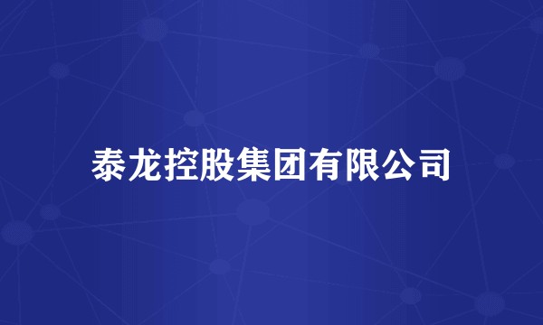泰龙控股集团有限公司
