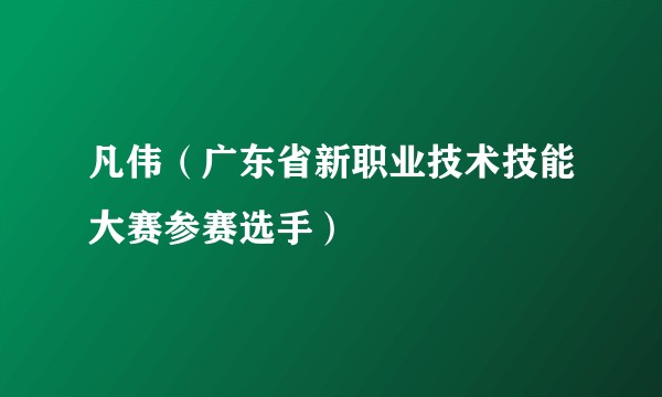 凡伟（广东省新职业技术技能大赛参赛选手）