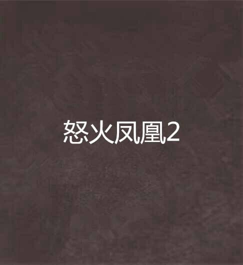 怒火凤凰2