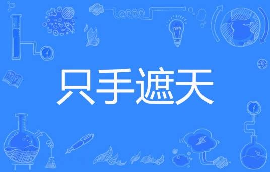 只手遮天（豆芽粉丝煲创作的网络小说）