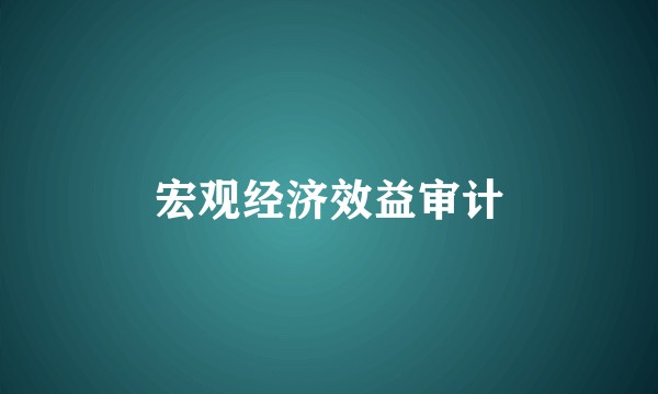 宏观经济效益审计