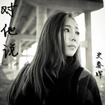 对他说(史春晖演唱的歌曲)