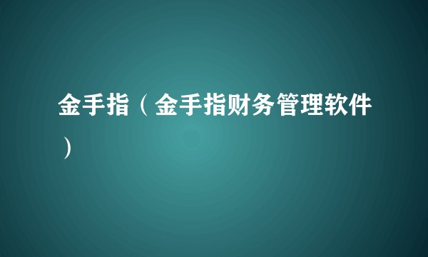金手指（金手指财务管理软件）