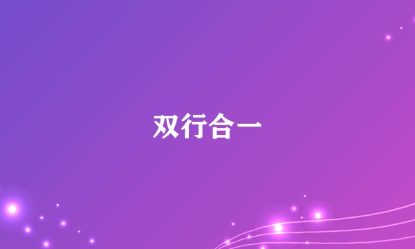 双行合一